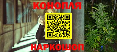 шишки Ипатово