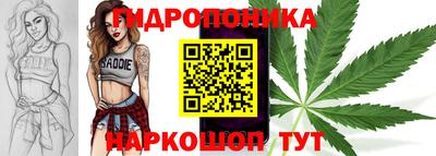 шишки Ипатово