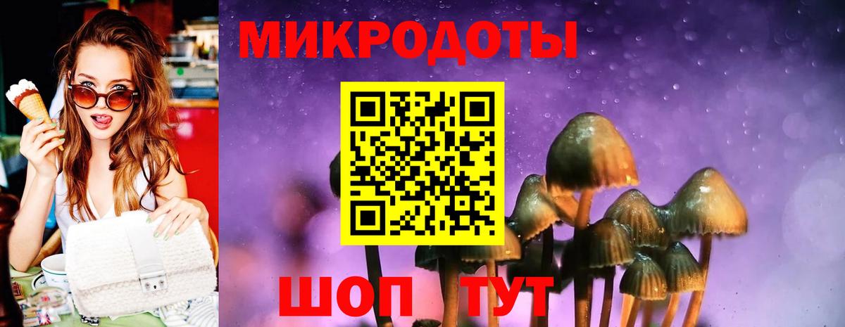 Псилоцибиновые грибы Psilocybine cubensis Лабытнанги